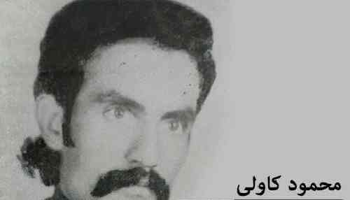 محمود کاولی خوش هاتی بانی